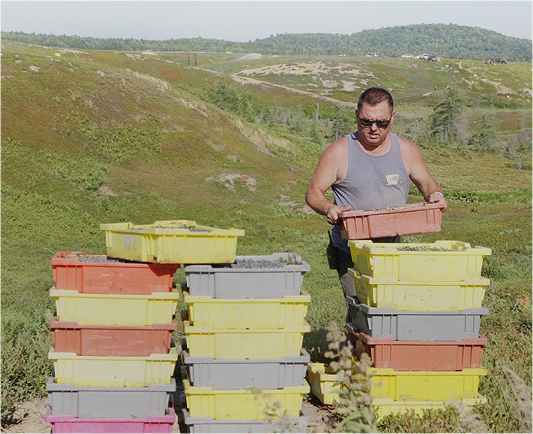 Alex and blueberry boxes