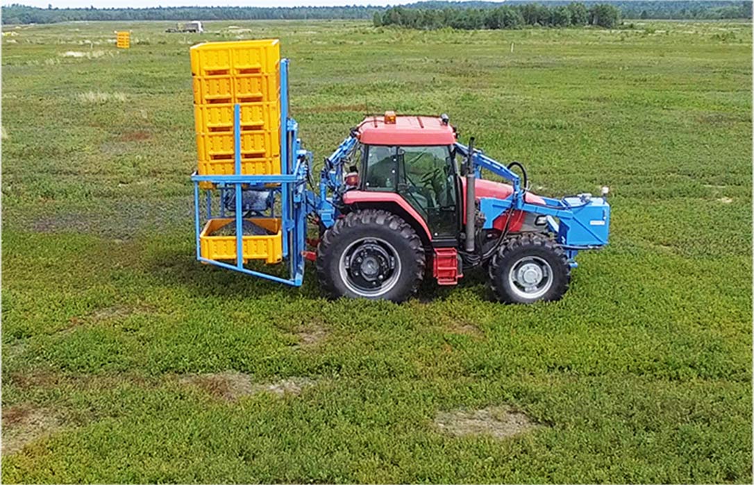 Blueberry Harvester